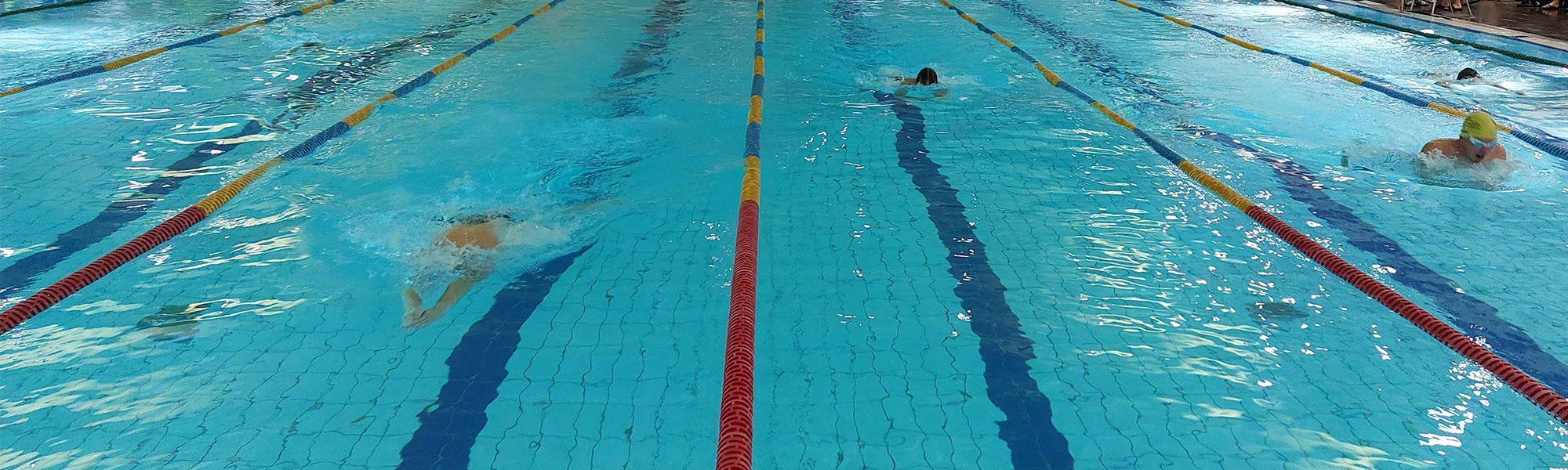 TG Biberach Abteilung Schwimmen beim Wettkampf